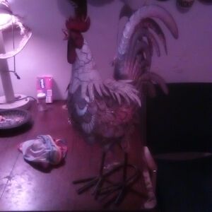 Metal rooster, silver,2ft